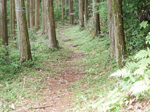 首塚
