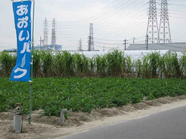 碧南市農業活性化センター　あおいパーク