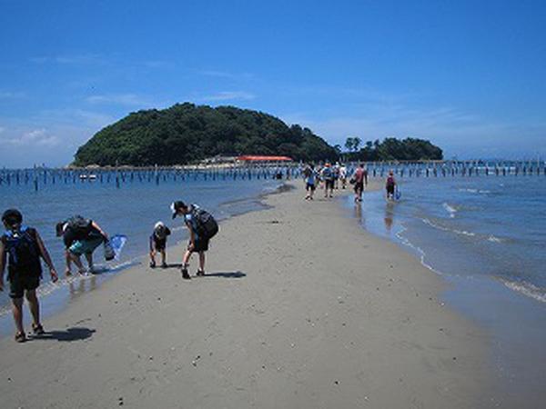 東幡豆のトンボロ干潟