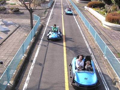 大高綠地
