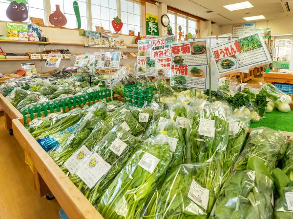 道の駅「デンパーク安城」