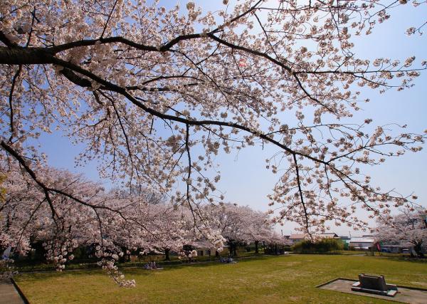 沓掛城址公園