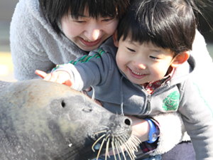 Minamichita Beach Land &amp; Minamichita Toy Kingdom