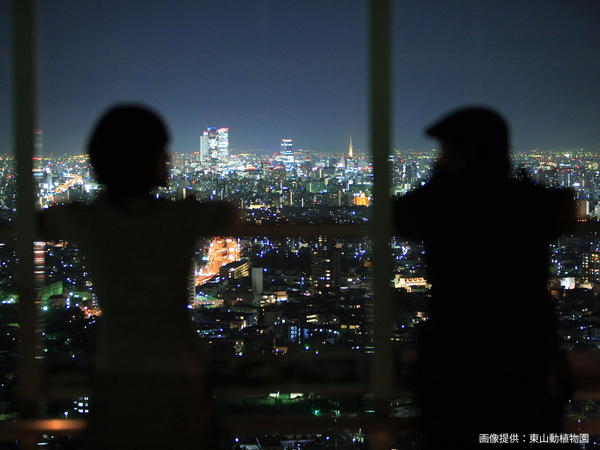 東山スカイタワー