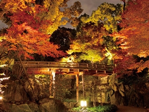 พิพิธภัณฑ์ศิลปะโทคุกาวะ / สวนโทคุกาวะ