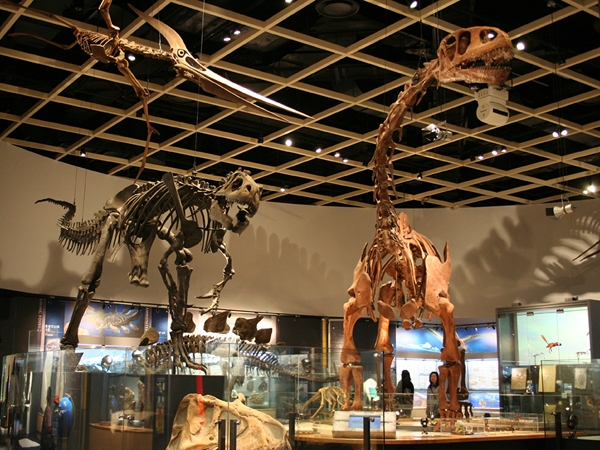 Toyohashi Zoo &amp; Botanical Park (Non Hoi Park)