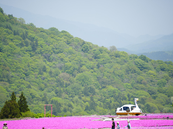 Mt. Chausu Highland