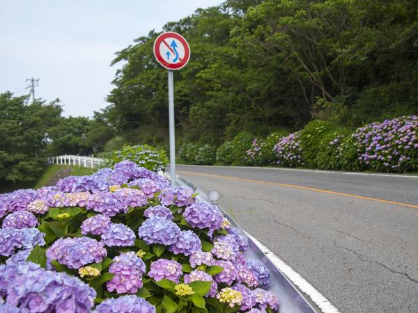 三ヶ根山スカイライン・三河湾スカイライン