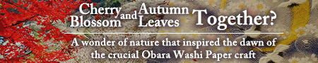 Cherry Blossom and Autumn Leaves Together?