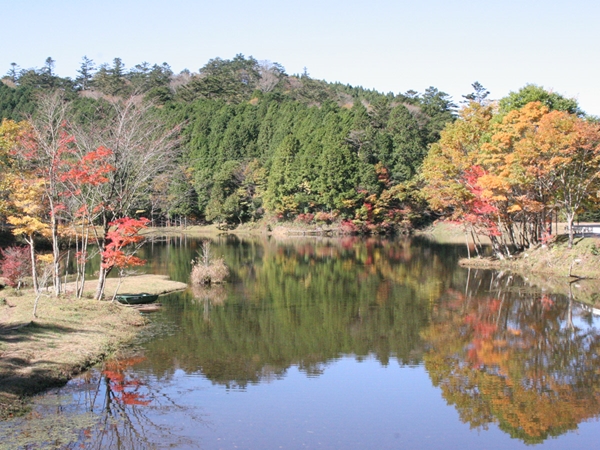 段戸裏谷原生林(きららの森)
