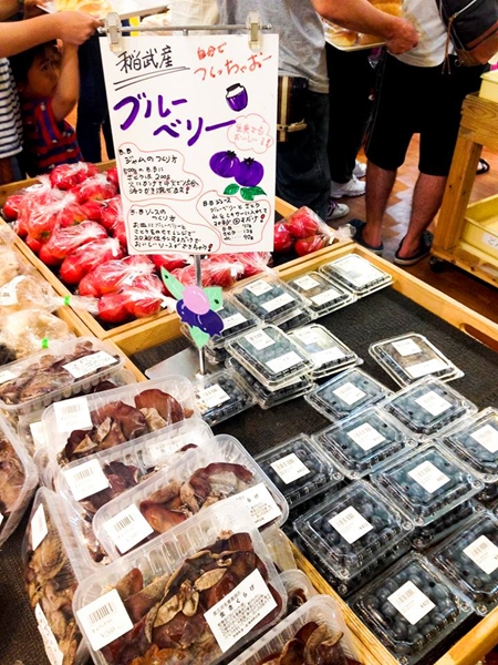 Roadside Station "Michi-no-Eki" Donguri-no-Sato Inabu - Blueberry Products