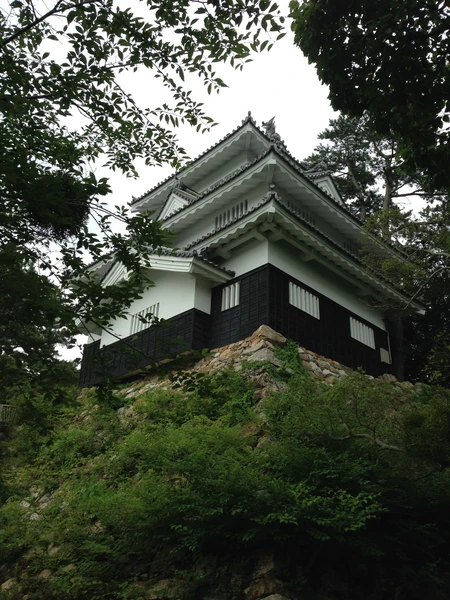 Yoshida Castle