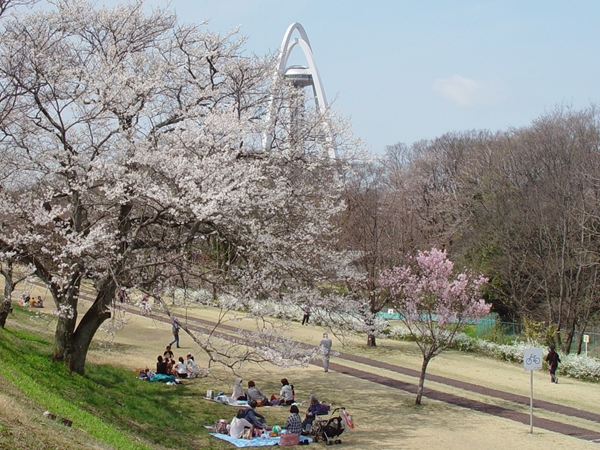 木曽川堤のサイクリングロード