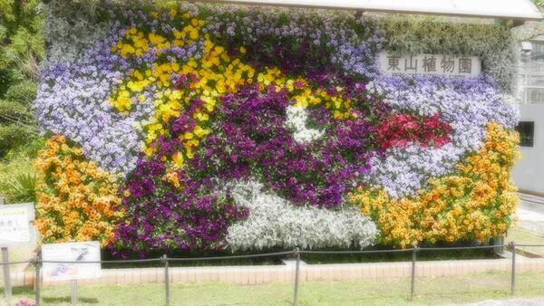 สวนสัตว์และสวนพฤกษศาสตร์ฮิกาชิยามะ