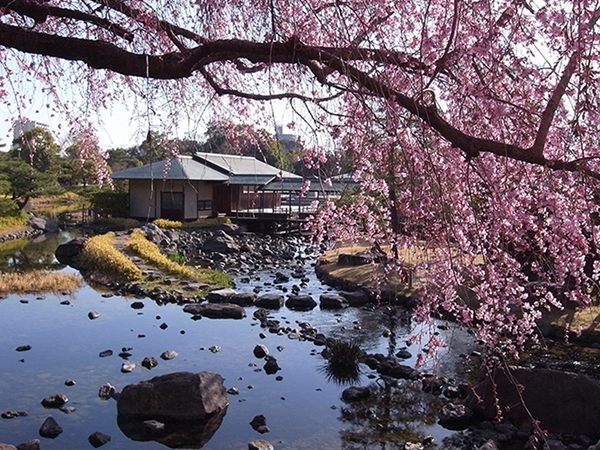 白鳥庭園