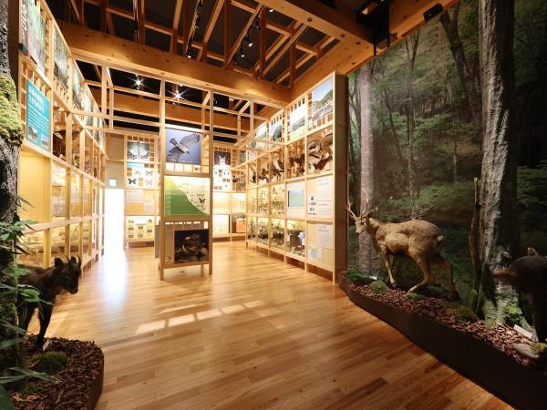 Okumikawa Local History Museum