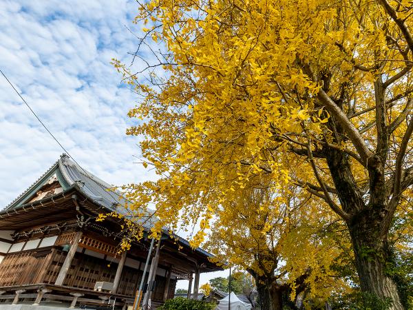 祐専寺