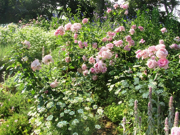 豊橋総合動植物公園,のんほいパーク