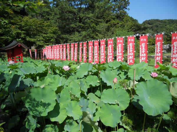 医王寺