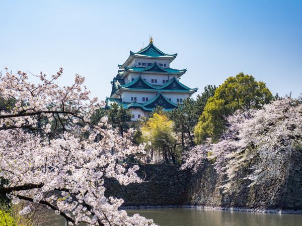 桜と名古屋城