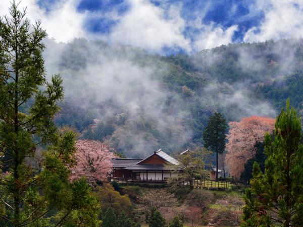 田峯城
