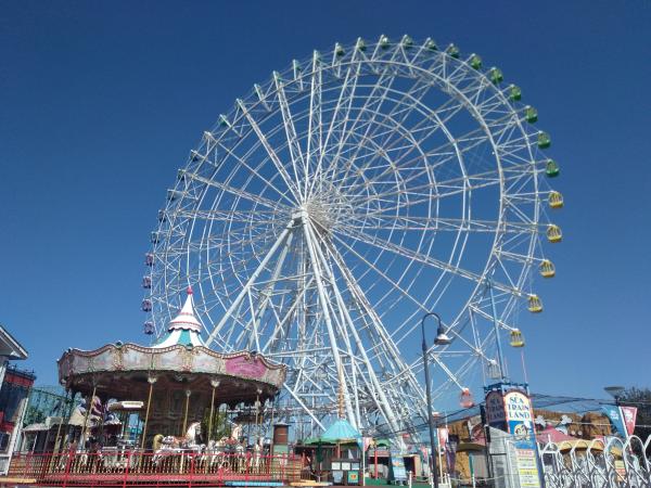 Nagoya Port Sea Train Land