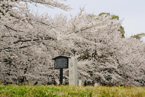 沓掛城址公園