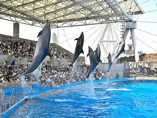Port of Nagoya Public Aquarium
