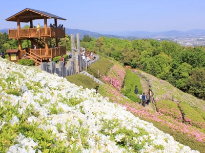 Eastern Mikawa Furusato Park