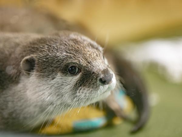 竹島水族館