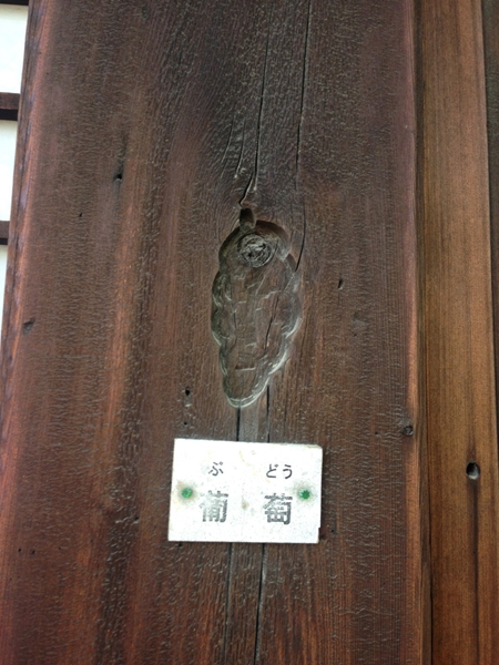 Kenchuji Temple