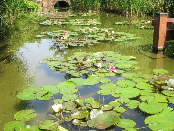 Toyohashi Zoo &amp; Botanical Park (Non Hoi Park)