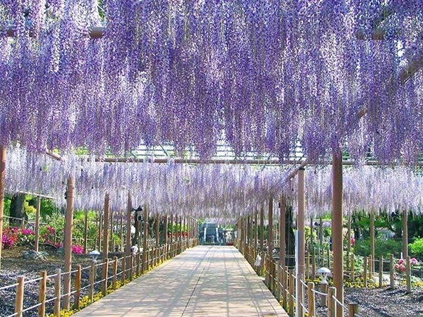 曼陀羅寺公園