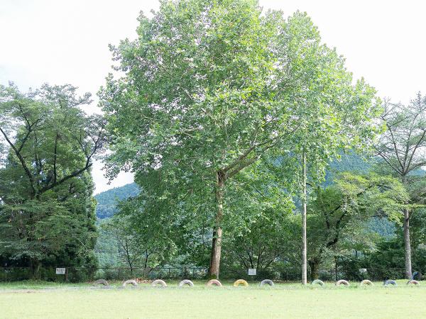 のき山学校