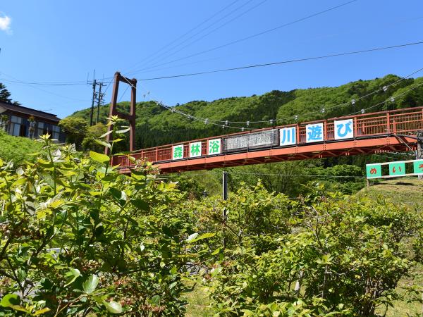 グリーンステージ花の木