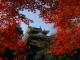 Nishio Castle