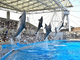 Port of Nagoya Public Aquarium