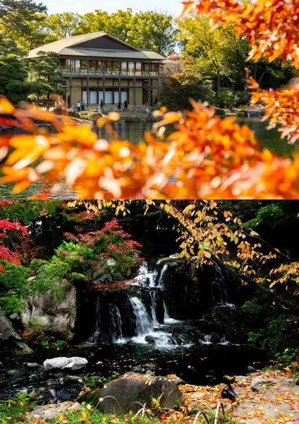 徳川園・白鳥庭園　共通観覧券