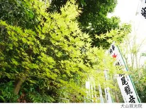 おてがる犬山コース