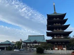名古屋定期観光バス《午前》名古屋城・覚王山日泰寺コース