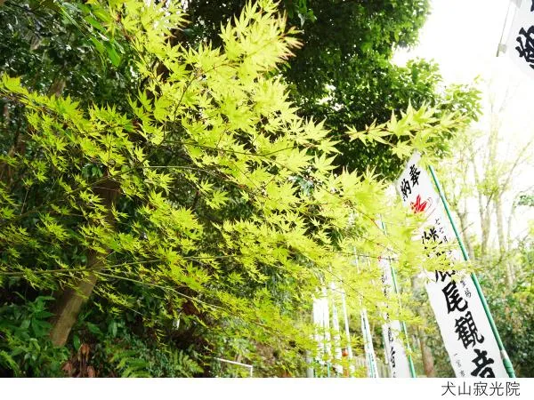 おてがる犬山コース