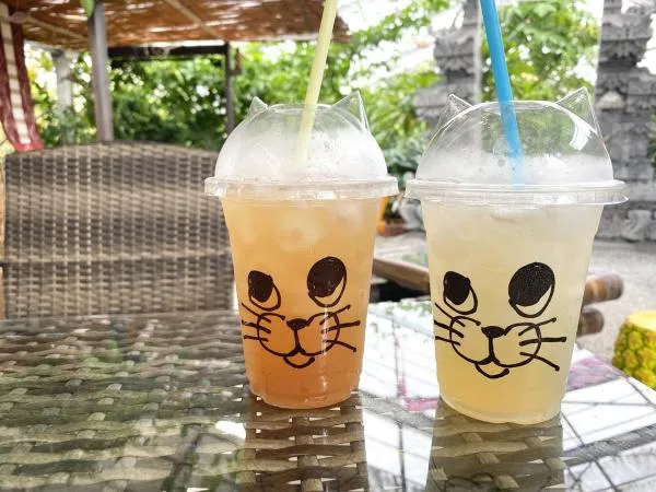 まるでバリ島！？トロピカルフルーツのジャングル探検
