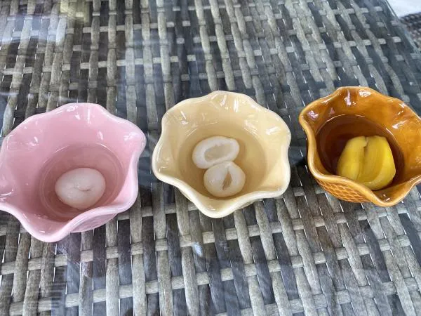 まるでバリ島！？トロピカルフルーツのジャングル探検