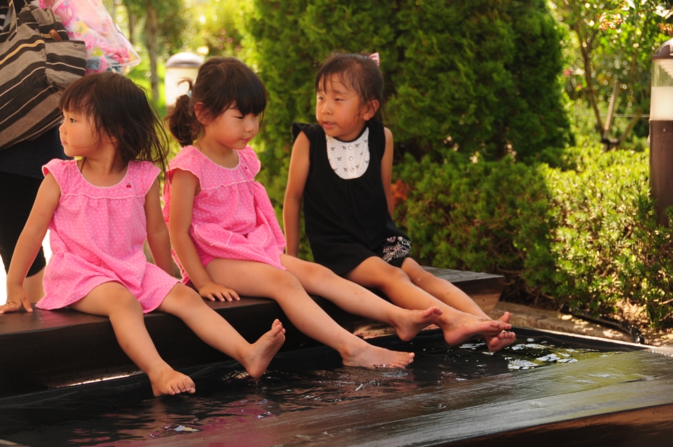 Denpark Summer Festival