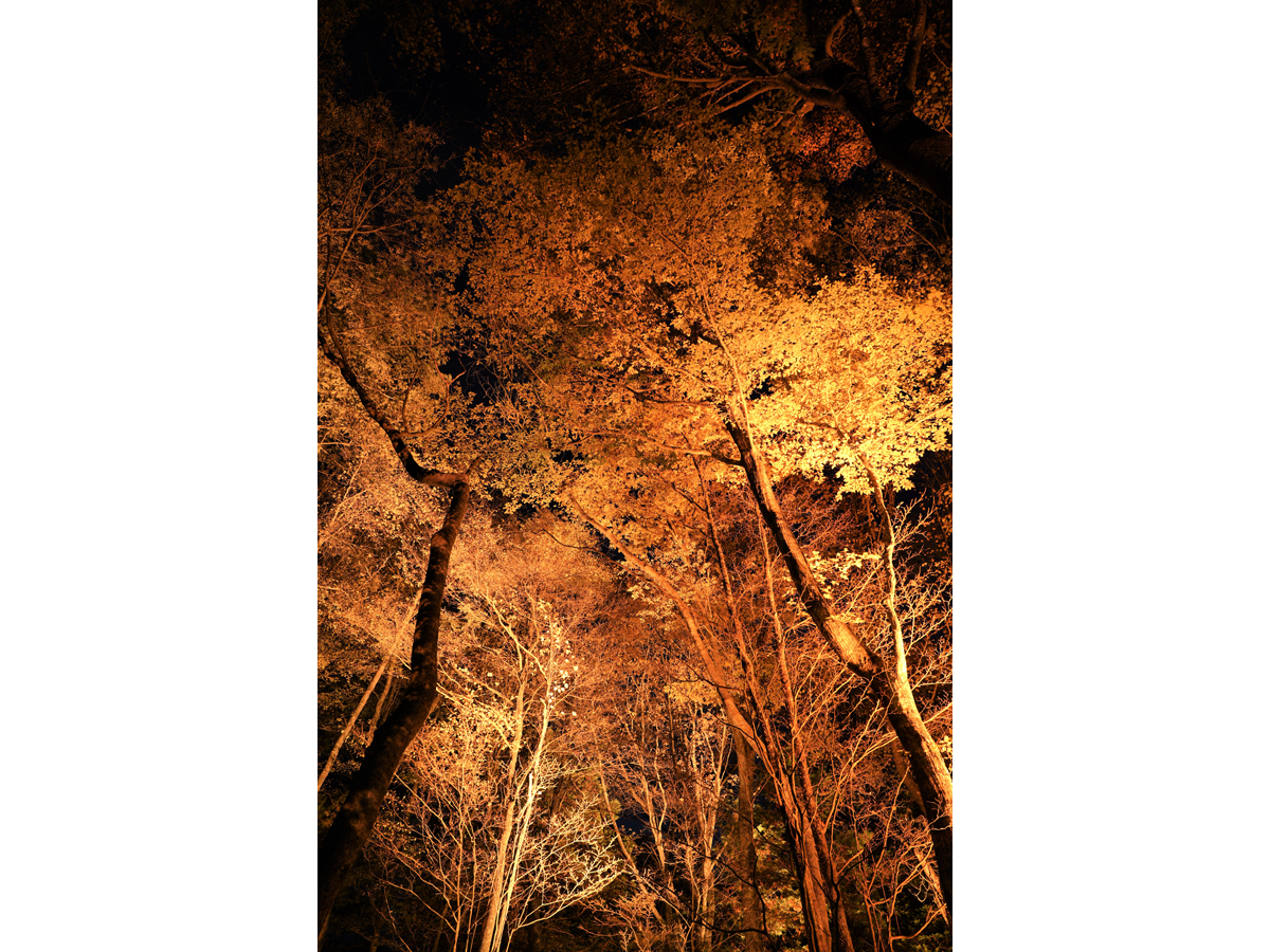 Mt. Chausu Highland Autumn Festival
