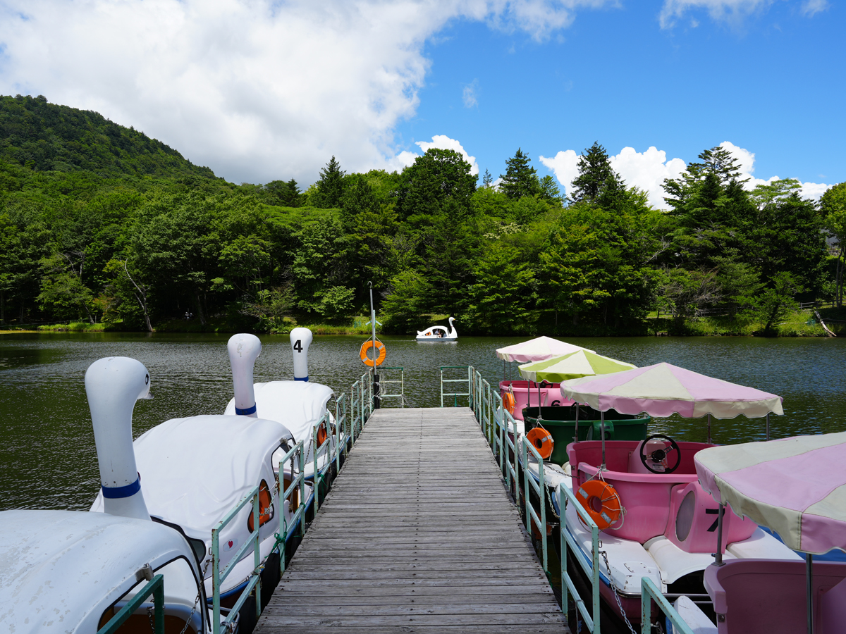Summer Mt. Chausu Highland