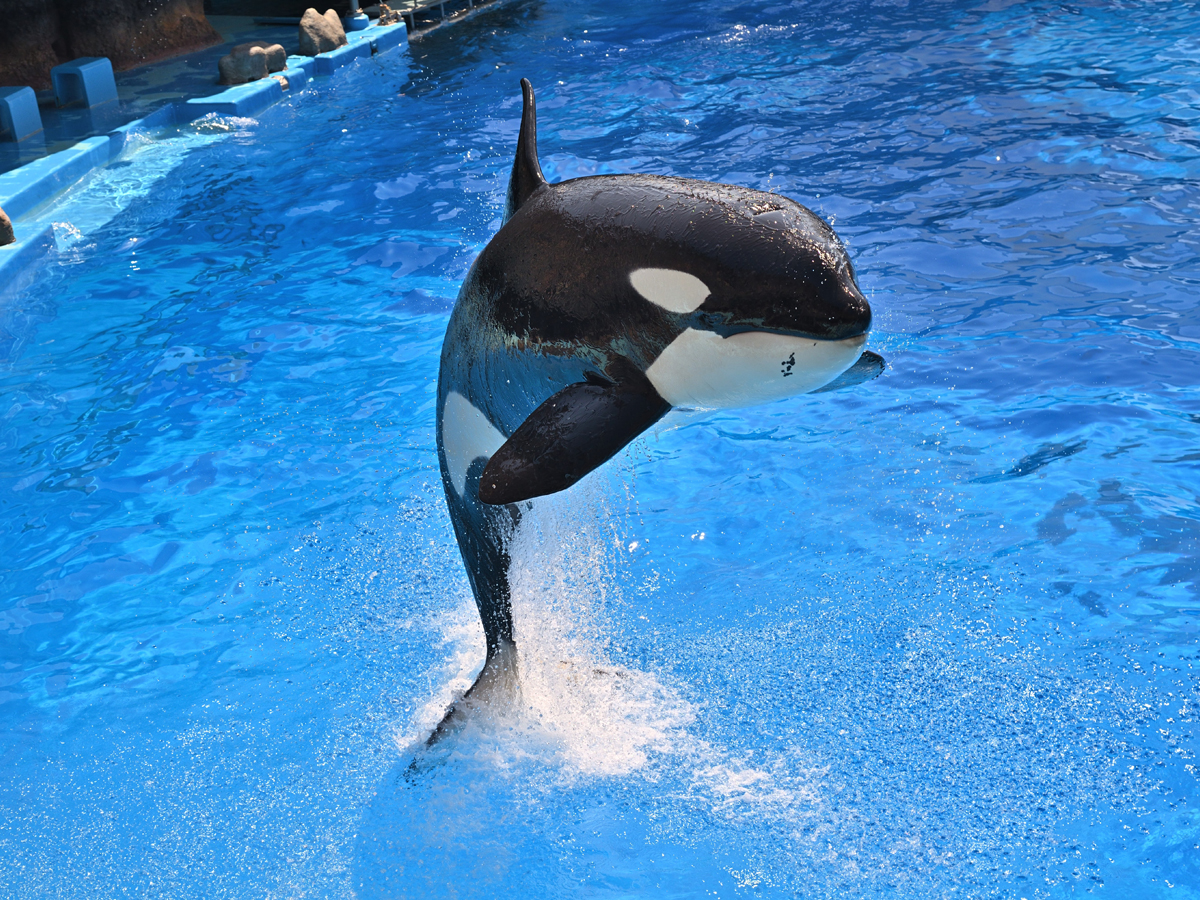 名古屋港水族館