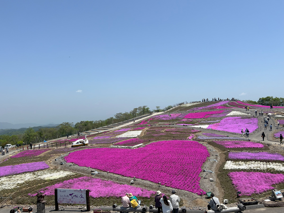茶臼山高原