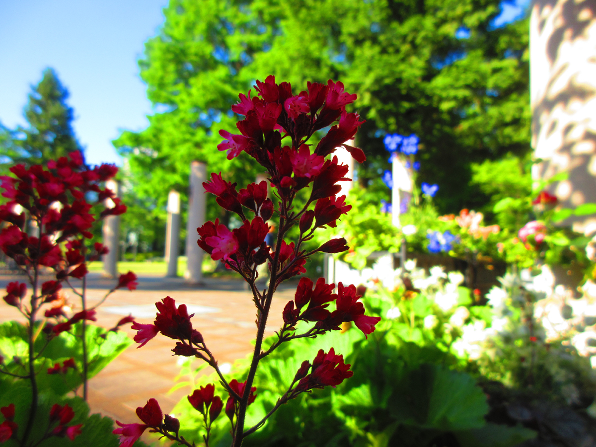 久屋大通庭園フラリエ