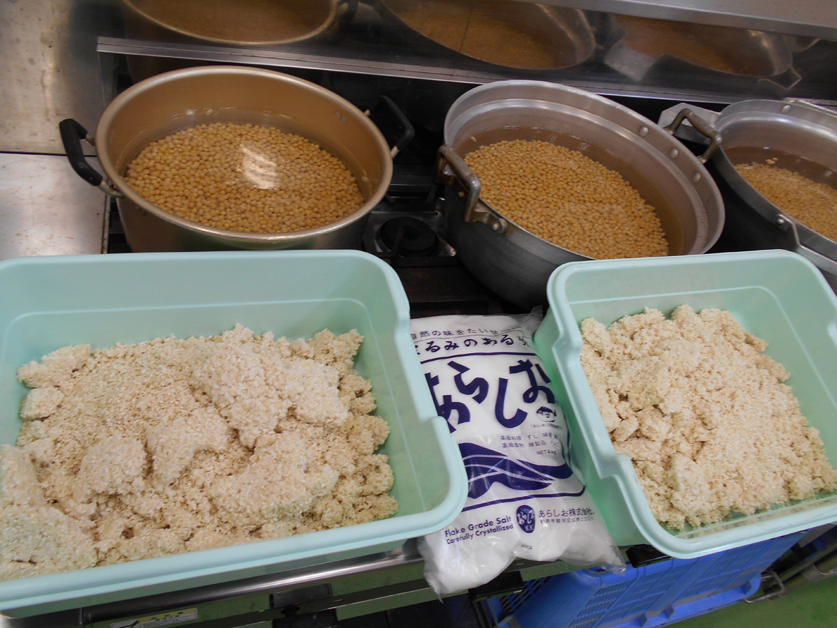 とよね村 里山体験BOOK